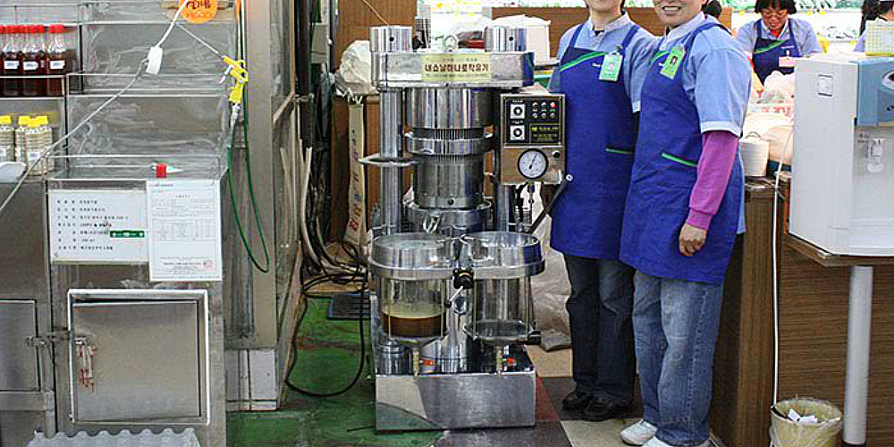 Hydraulic Oil Press at Discount Store